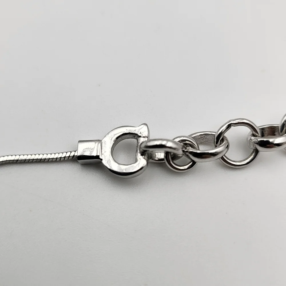 Christian Dior Pre- Owned Trotter Logo Necklace, Authentic... - Picture 6 of 13